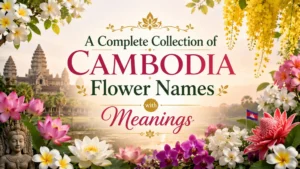 A Complete Collection of Cambodia Flower Names with Meanings