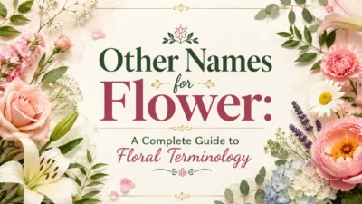 Other Names for Flower A Complete Guide to Floral Terminology