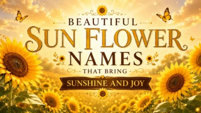 Beautiful Sun Flower Names That Bring Sunshine and Joy