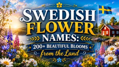 Swedish Flower Names 200+ Beautiful Blooms from the Land
