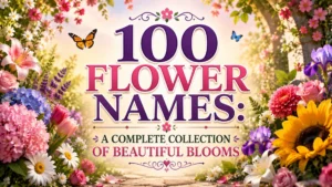 100 Flower Names A Complete Collection of Beautiful Blooms