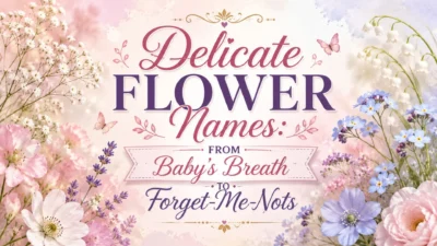 Delicate Flower Names: From Baby's Breath to Forget-Me-Nots