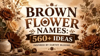 Brown Flower Names 560+ Ideas Inspired by Earthy Blooms
