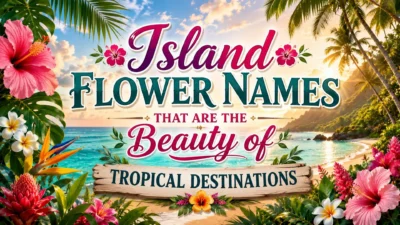 Island Flower Names That are the Beauty of Tropical Destinations